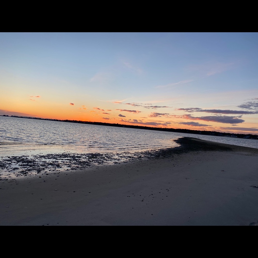 Meet your Posher, Maya